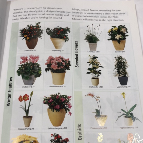 House plants book by Paul Williams - Picture 10 of 12